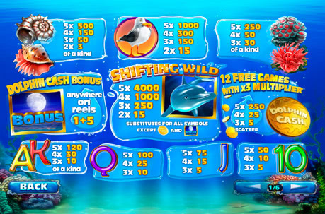 Dolphin Cash 