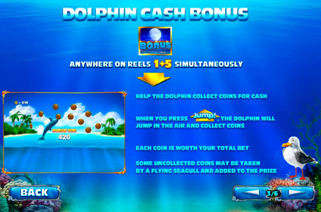 Dolphin Cash 