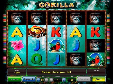 Gorilla