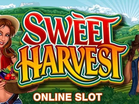 Sweet Harvest