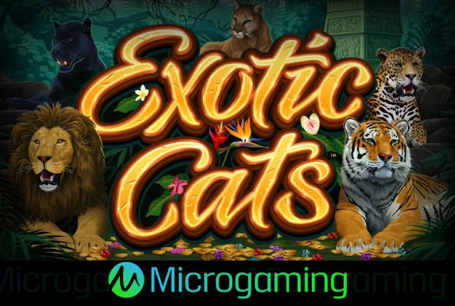 Игровые автоматы от Microgaming